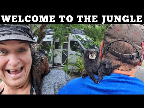 Making Friends in the Amazon [VAN LIFE PERU] S6E3