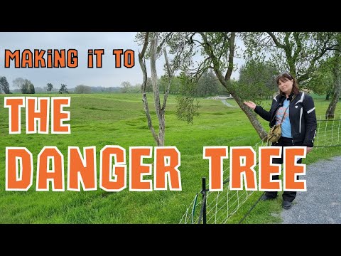 Making it to the danger tree | Battle of the Somme motorcycle tour Ride 1 | Arras France