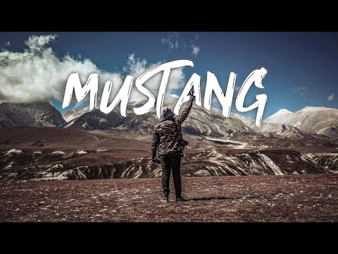 Mustang, Lete | Lockdown Episode | S02E02 | 4K