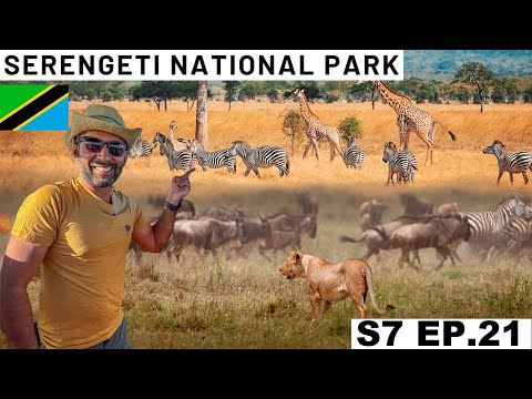 My Dream Safari I always wanted to do  S7 EP.21 | Pakistan to South Africa