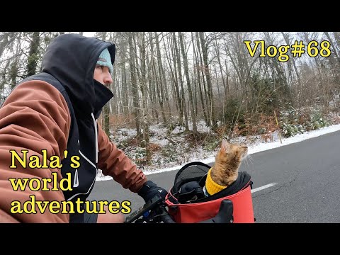 Nala cat's European bike adventure️  VLOG #68