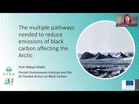 ND Future Forum 2020: Curbing Black Carbon Emissions in the Northern Dimension Area