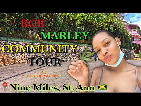 NINE MILES, JAMAICA: TOURING A WEED FARM 