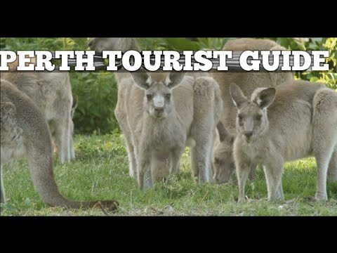 PERTH TOURIST REVIEW  ALONG WITH RALAXING, CALM, PIANO MUSIC
