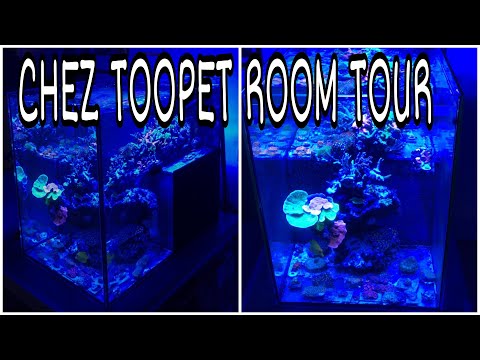 ROOM TOUR LIVE STUDIO TOOPET - AVEC TANGUY