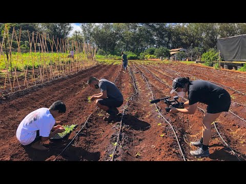 Scaling Up | PBS HAWAIʻI PRESENTS