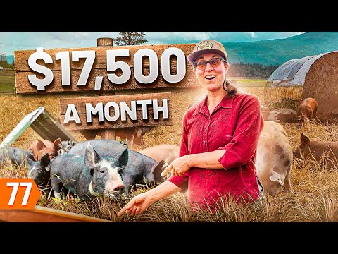 Starting a $188K/year Pig Farm Business (from Scratch)