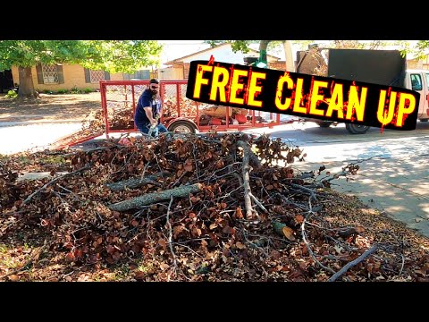 SURPRISED my NEIGHBOR with a FREE LAWN CLEAN UP
