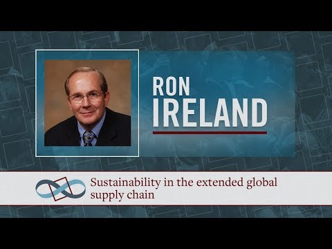 Sustainability in the extended global supply chain