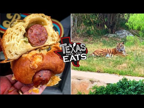 Texas Eats Ep.18 : Wild about Food at the SA Zoo