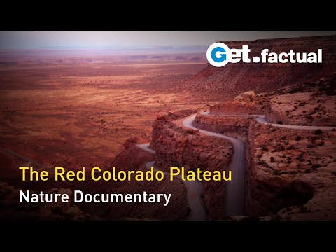 The Colors of the Desert - The Red Colorado Plateau | Nature Documentary