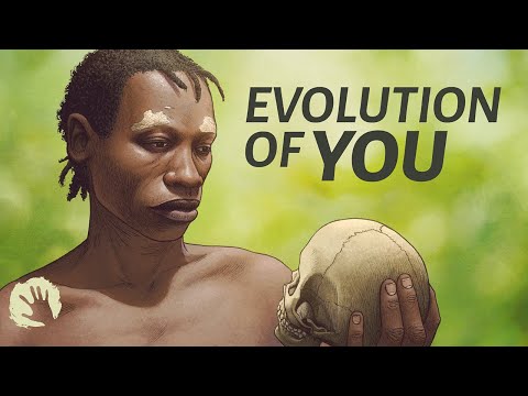 The complex evolution of homo sapiens (that's you)