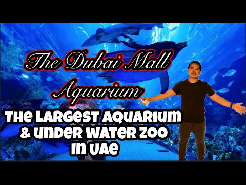 The Dubai Mall Aquarium &  Under Water zoo | Beautiful Place