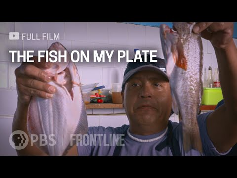 The Fish on My Plate (full documentary) | FRONTLINE