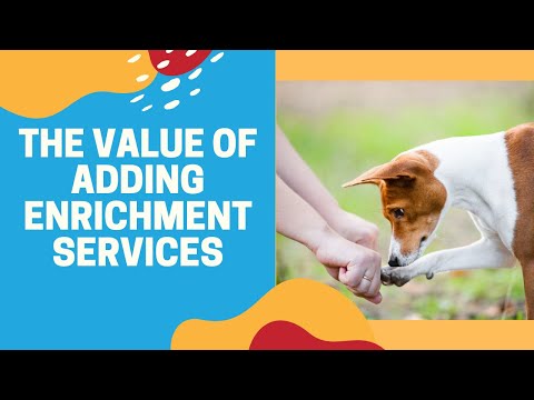 The Value of Adding Enrichment Services to Your Pet Business