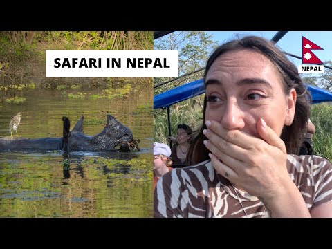 This is CHITWAN national Park - $30 shared Safari Tour