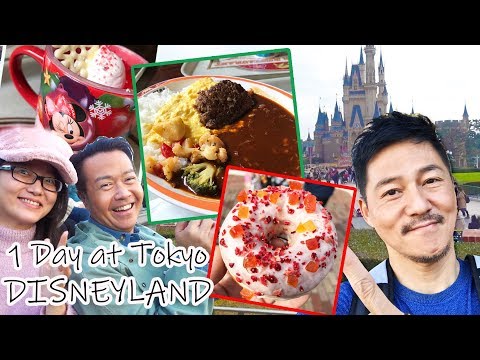 Tokyo Disneyland Food & Fun Christmas 2018