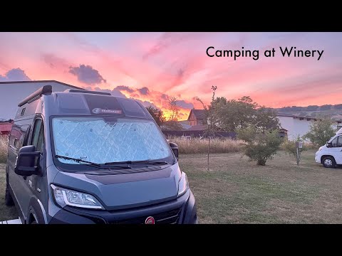 Touring Vineyards with a Van in Germany & France | Ep. 18