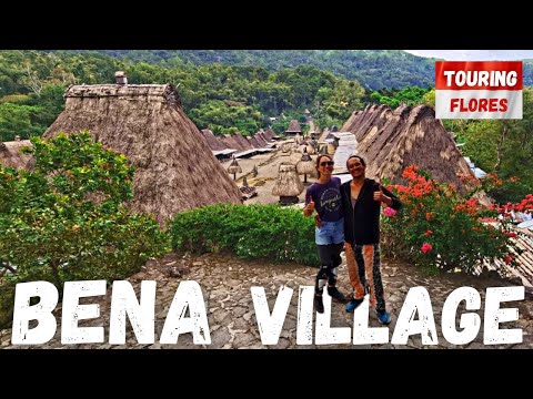 Traditional Villages and A Wedding Party in BAJAWA, Flores  [S2-E11]