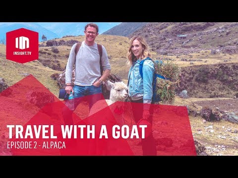 Travel With A Goat | Episode 2 [HD] | Insight TV