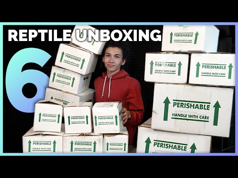 Unboxing 15 More Reptiles! 10 New Species of Snakes, Lizards & Amphibians