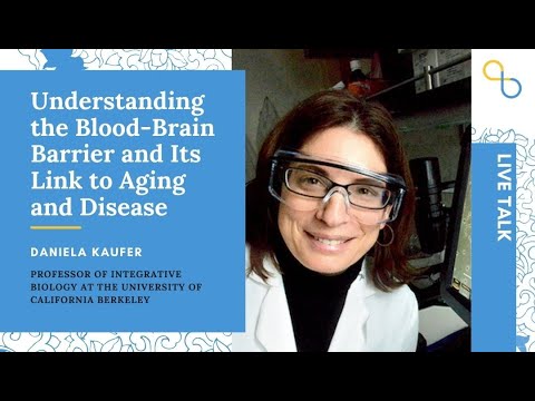 Understanding the Blood-Brain Barrier and Its Link to Aging and Disease | LiveTalk | Being Patient
