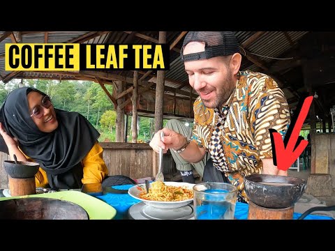 Unique Coffee Leaf Tea Experience at Marapi Volcano in Sumatra 