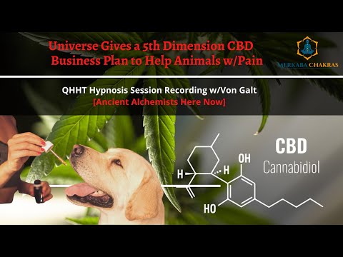 Universe Gives 5th Dimension CBD Business Plan, Help Animals w/Pain