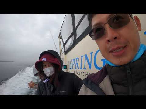 Vancouver Island 2021 - Victoria Day 2: Whale Watching Tour