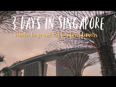 VLOGGED IN SINGAPORE!