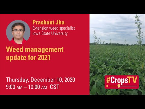 Weed management update for 2021