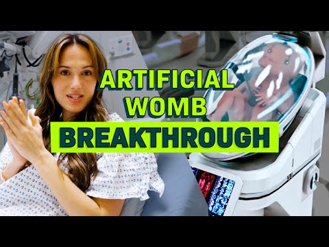 Would you use an artificial womb?